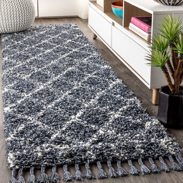 Mercer Shag Plush Tassel Moroccan Geometric Trellis Area Rug